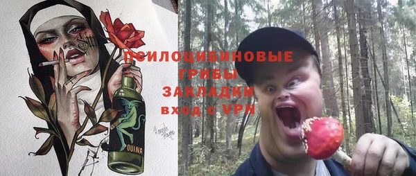 экстази Заводоуковск