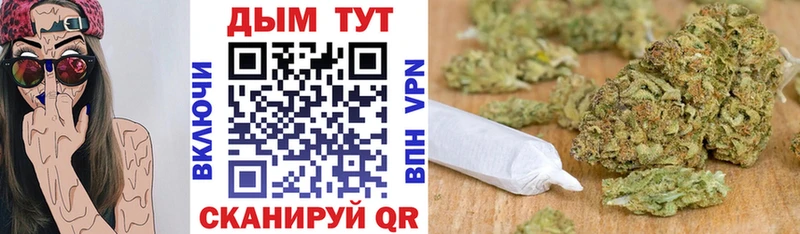 продажа наркотиков  Энгельс  Бошки Шишки семена 